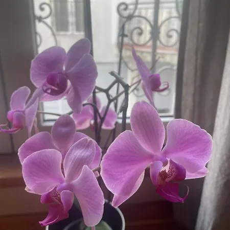 Apartment Slavija Square